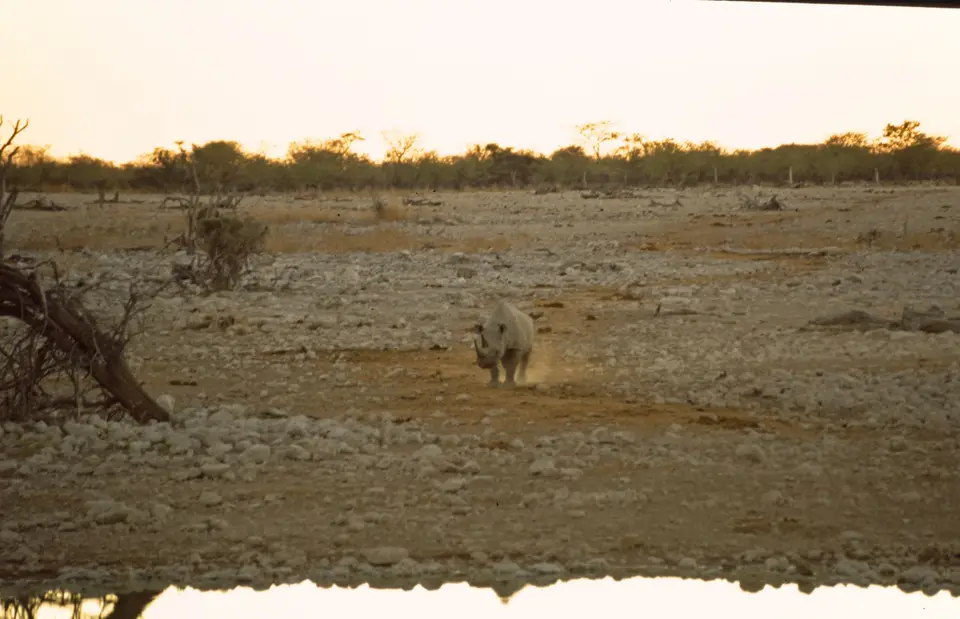 Namibia7006.jpg