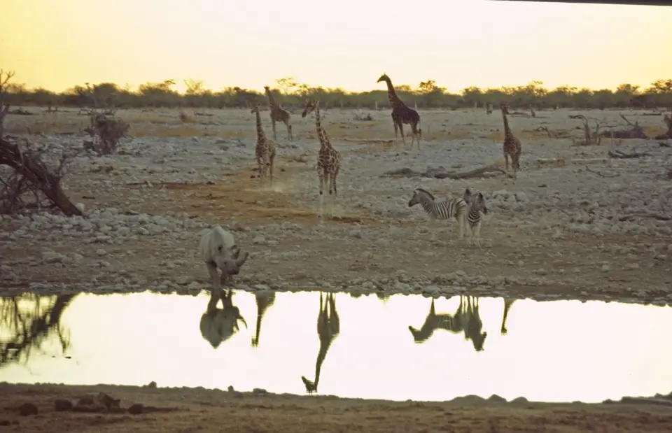 Namibia7010.jpg