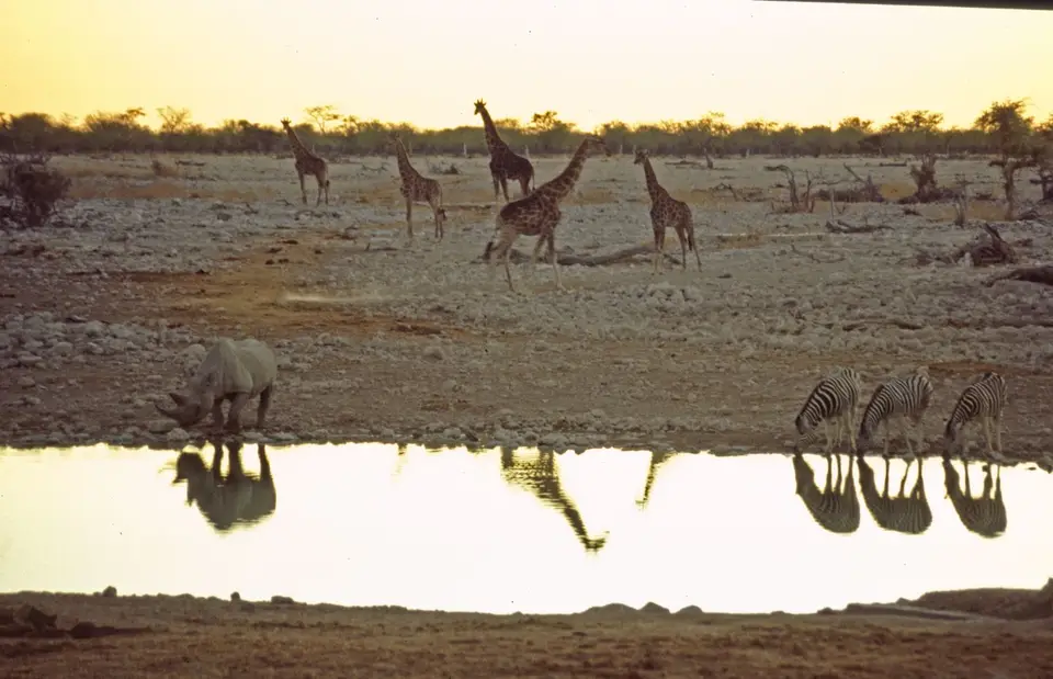 Namibia7011.jpg