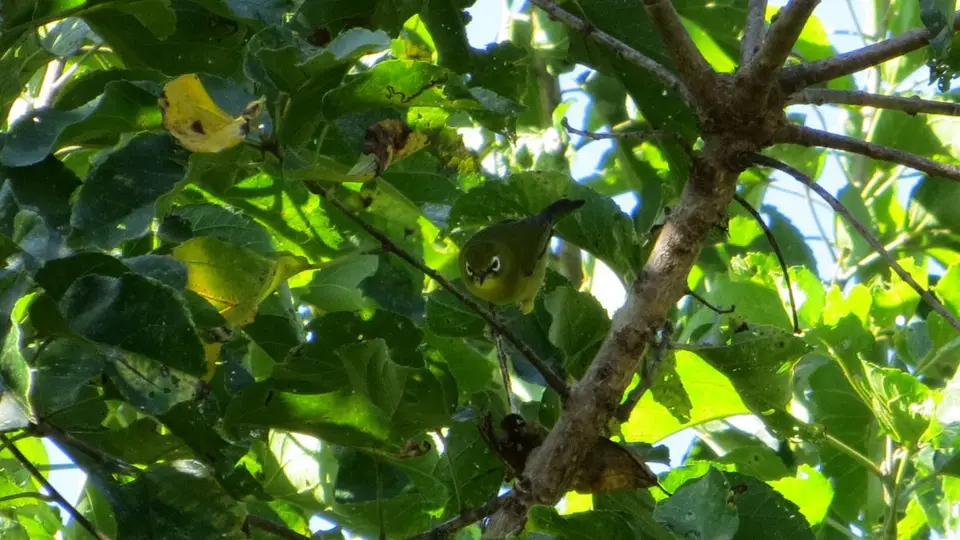 SA20130396b.jpg