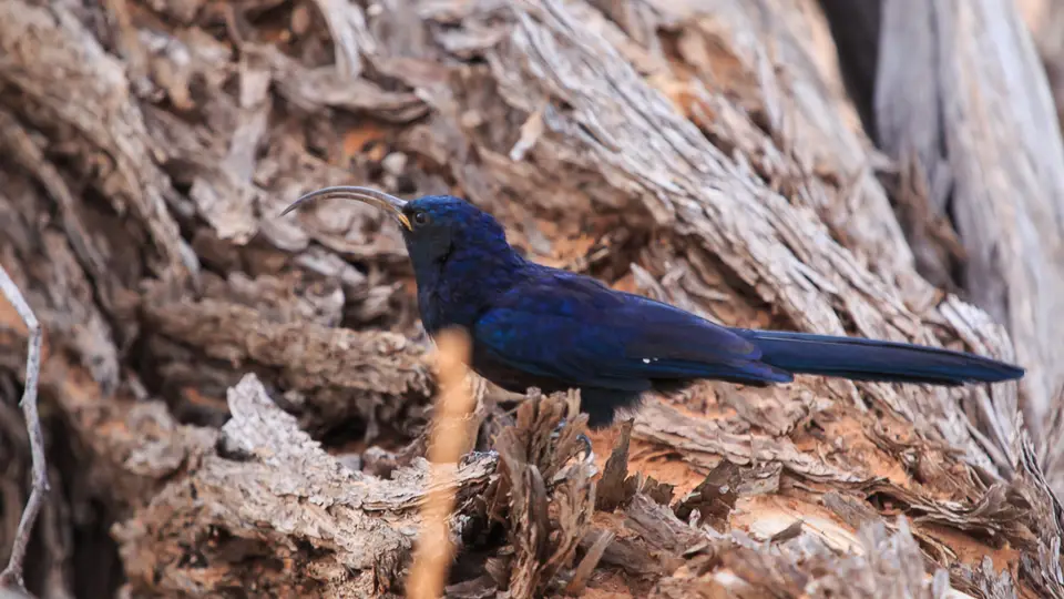 SA2018Tag1(71von86).jpg