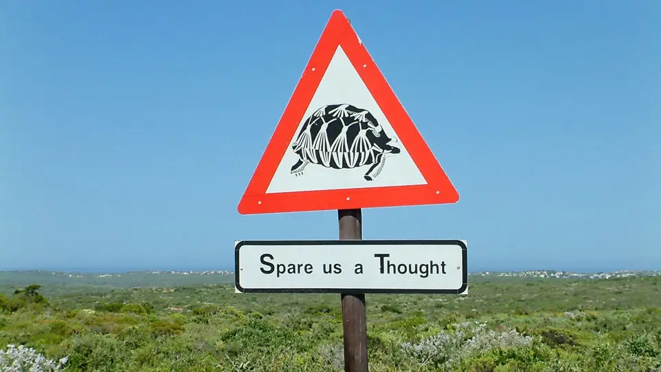 Suedafrika0010-2.jpg