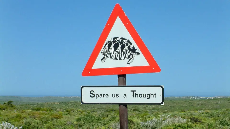 Suedafrika0010.jpg