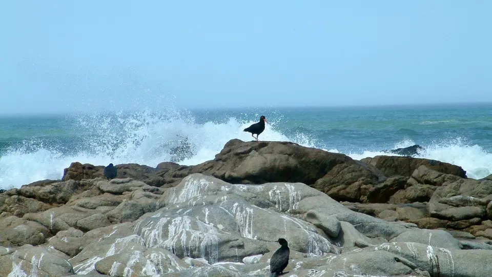 Suedafrika0030.jpg