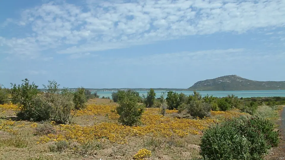 Suedafrika0046-2.jpg