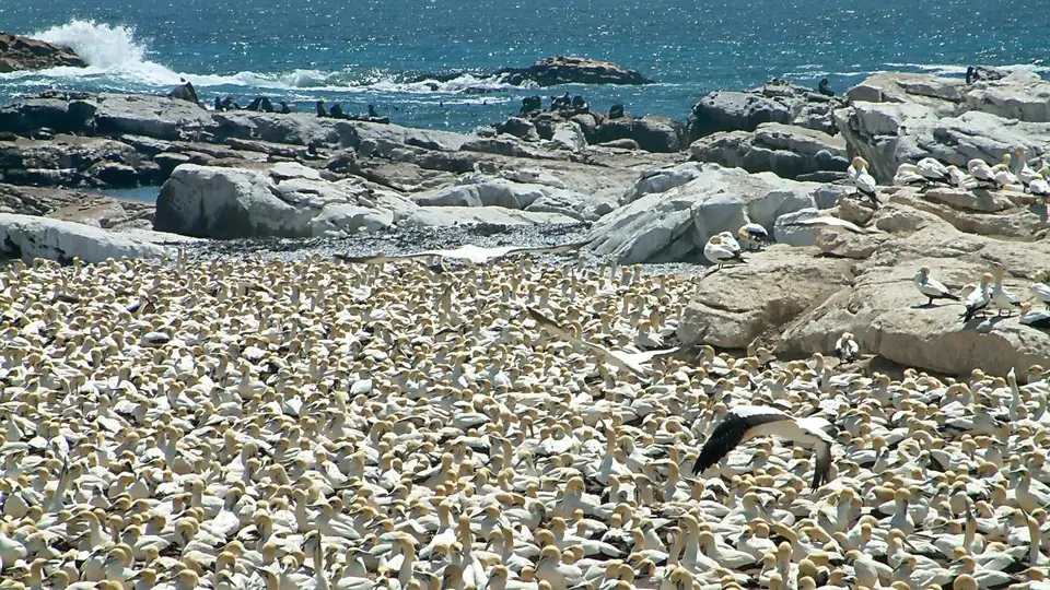 Suedafrika0085.jpg