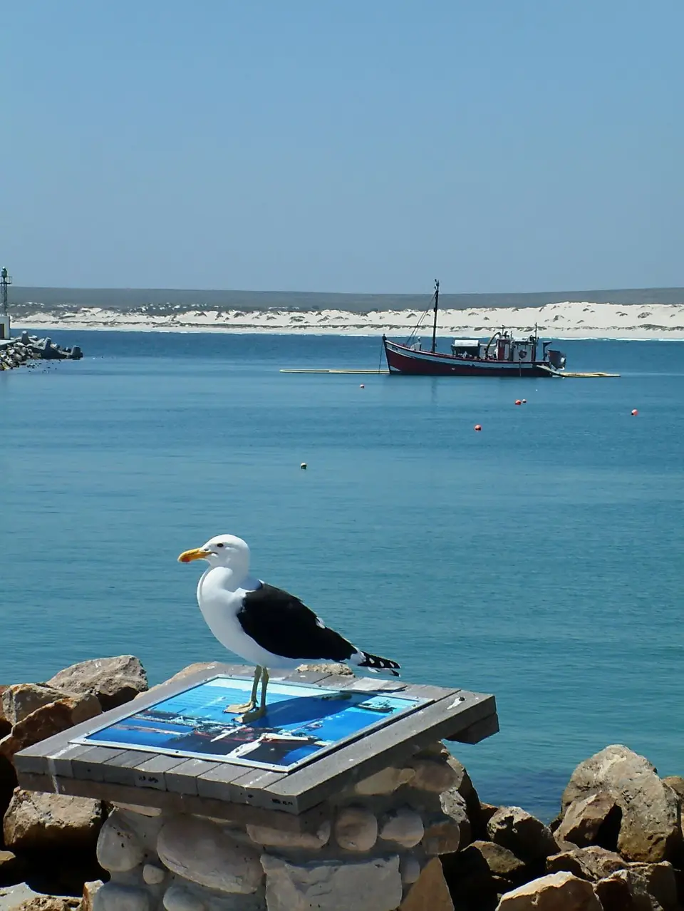 Suedafrika0095-2.jpg