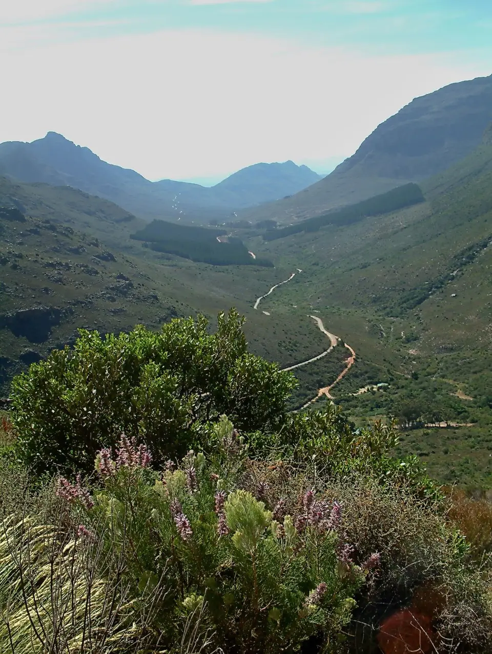 Suedafrika0107-2.jpg