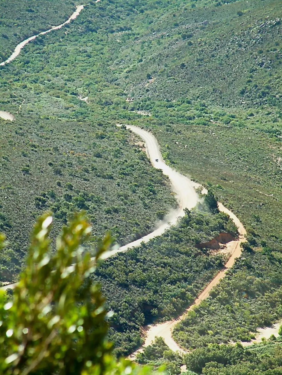 Suedafrika0108.jpg