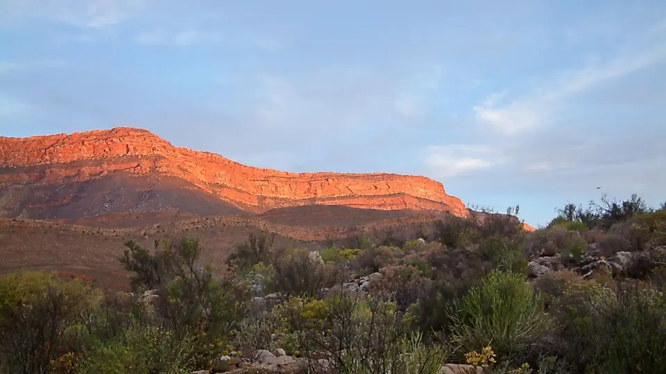 Suedafrika0132-2.jpg