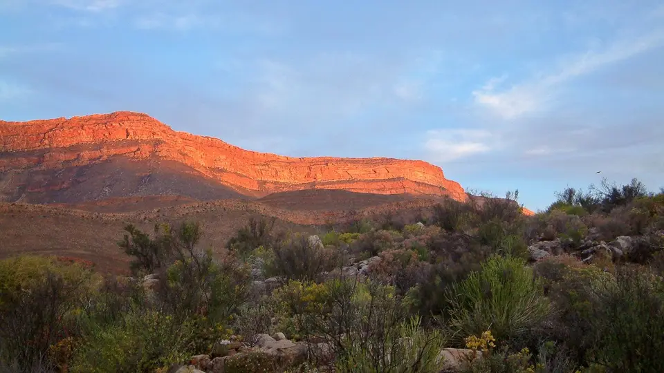 Suedafrika0132.jpg