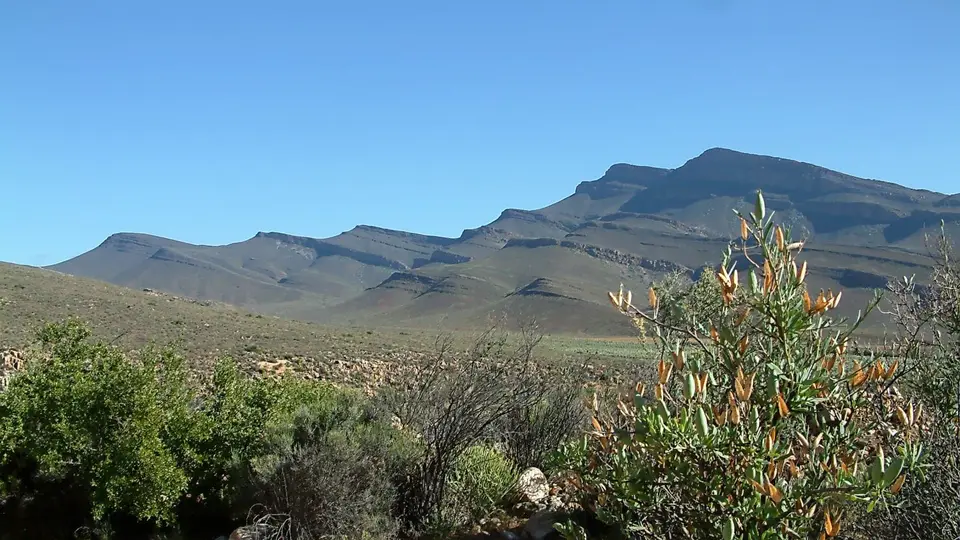 Suedafrika0138-2.jpg