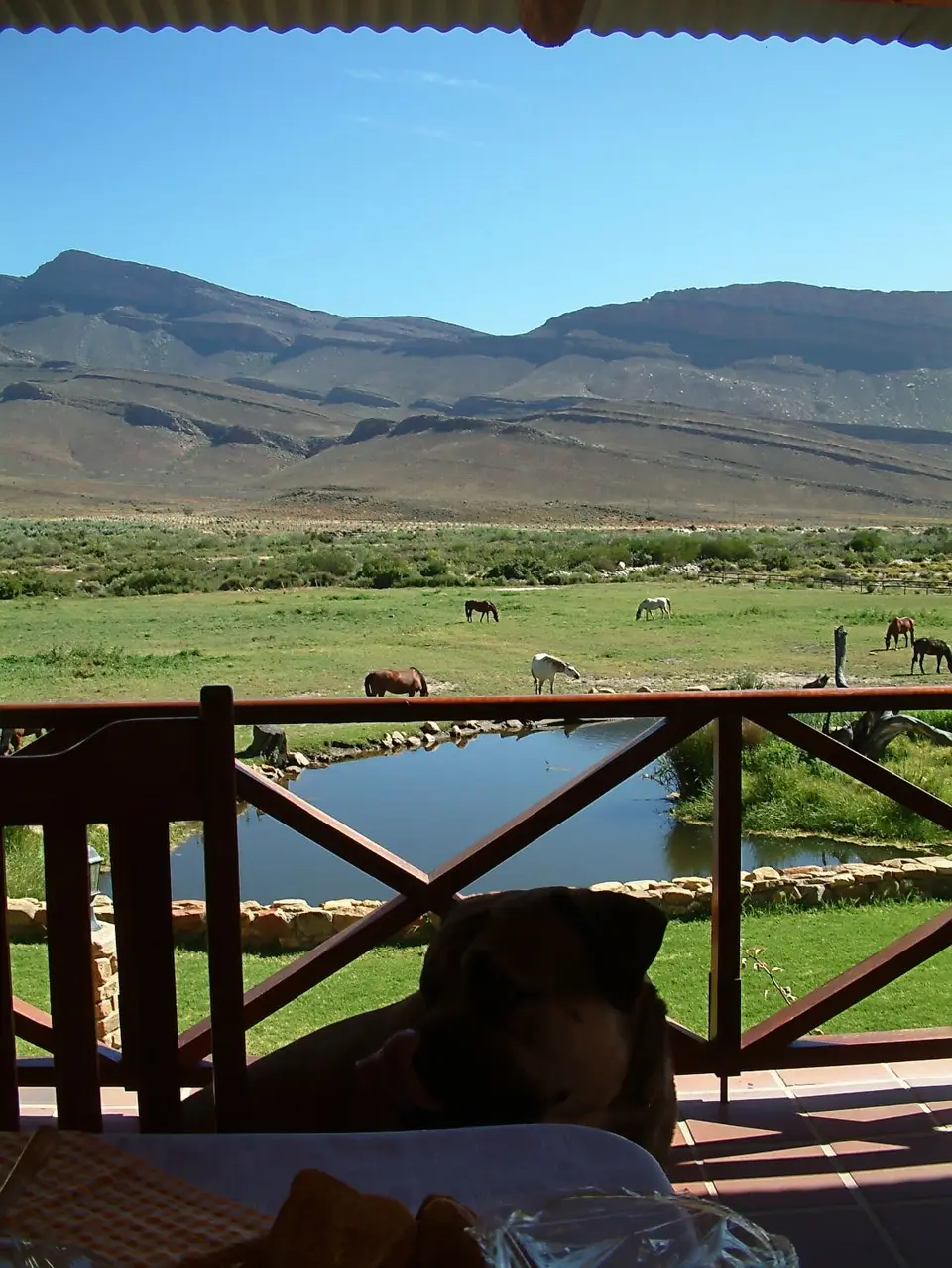 Suedafrika0140.jpg