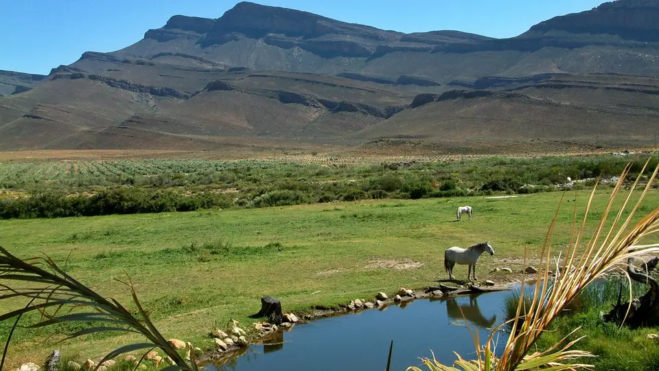 Suedafrika0143.jpg