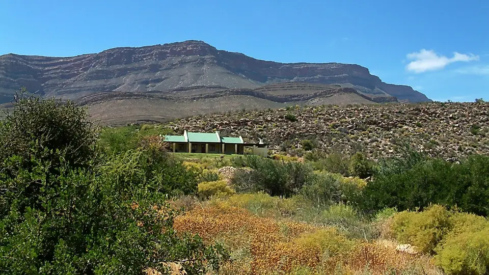 Suedafrika0154-2.jpg