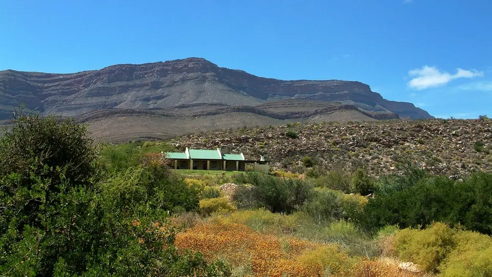 Suedafrika0154.jpg