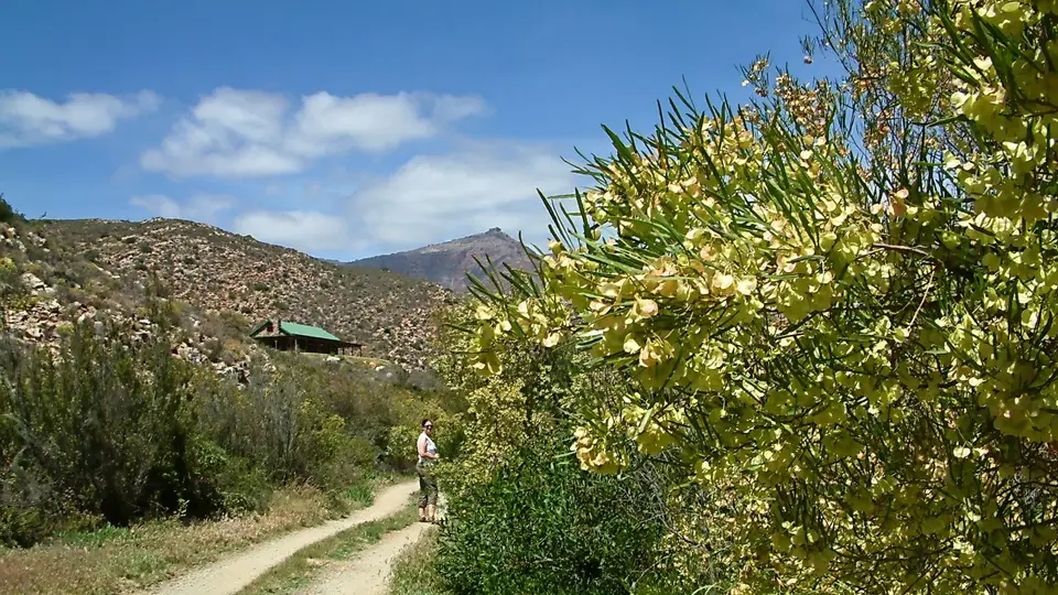 Suedafrika0159-2.jpg