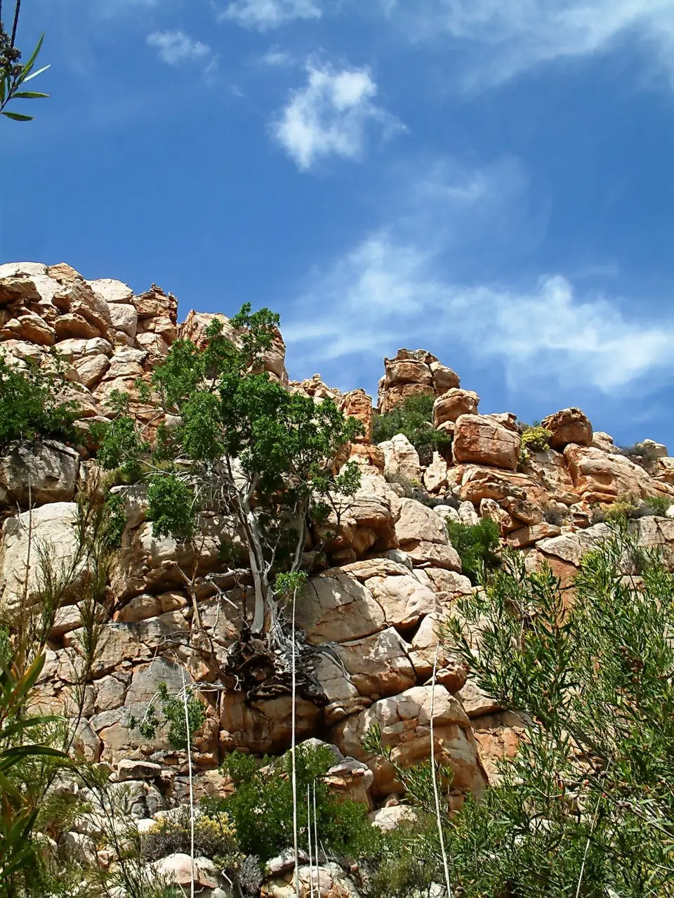 Suedafrika0172.jpg