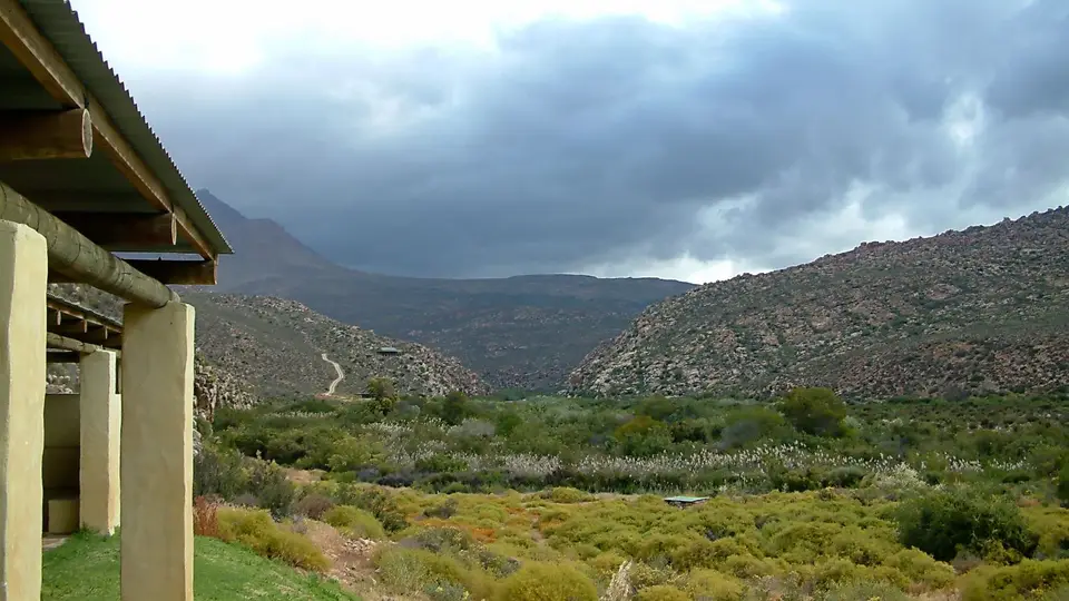 Suedafrika0175-2.jpg