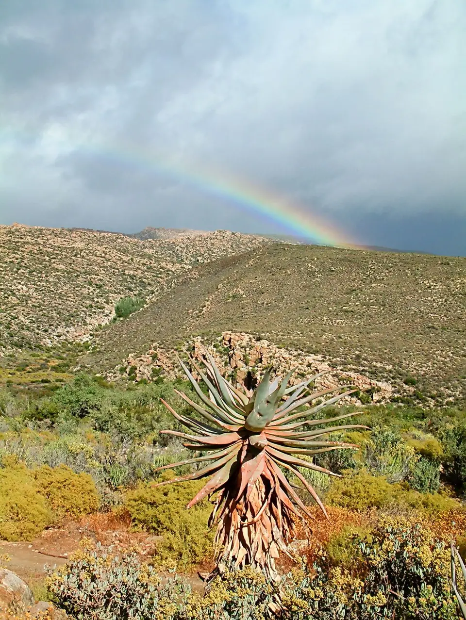 Suedafrika0183-2.jpg