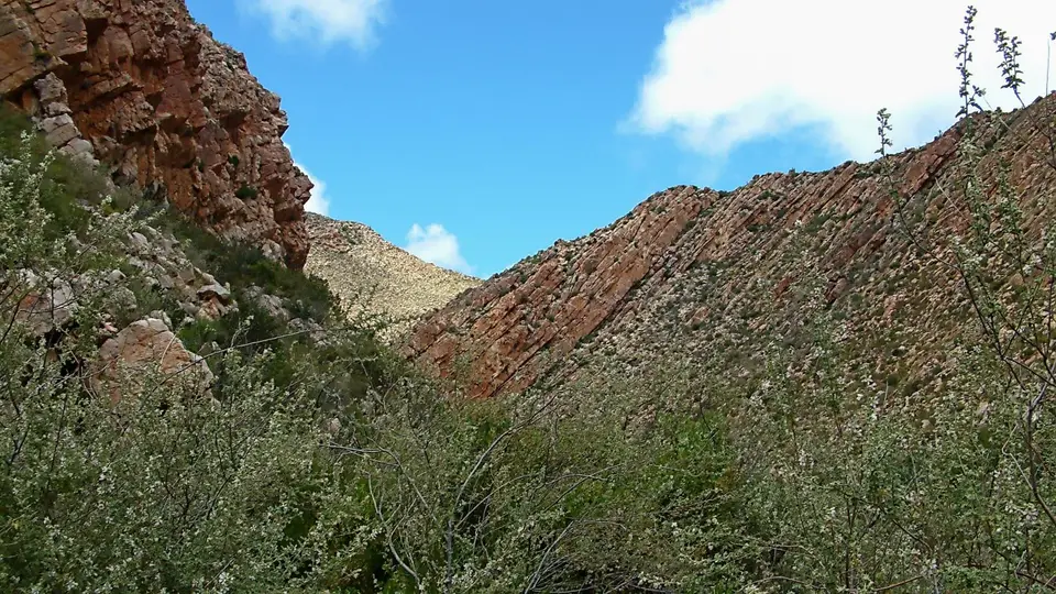 Suedafrika0199.jpg