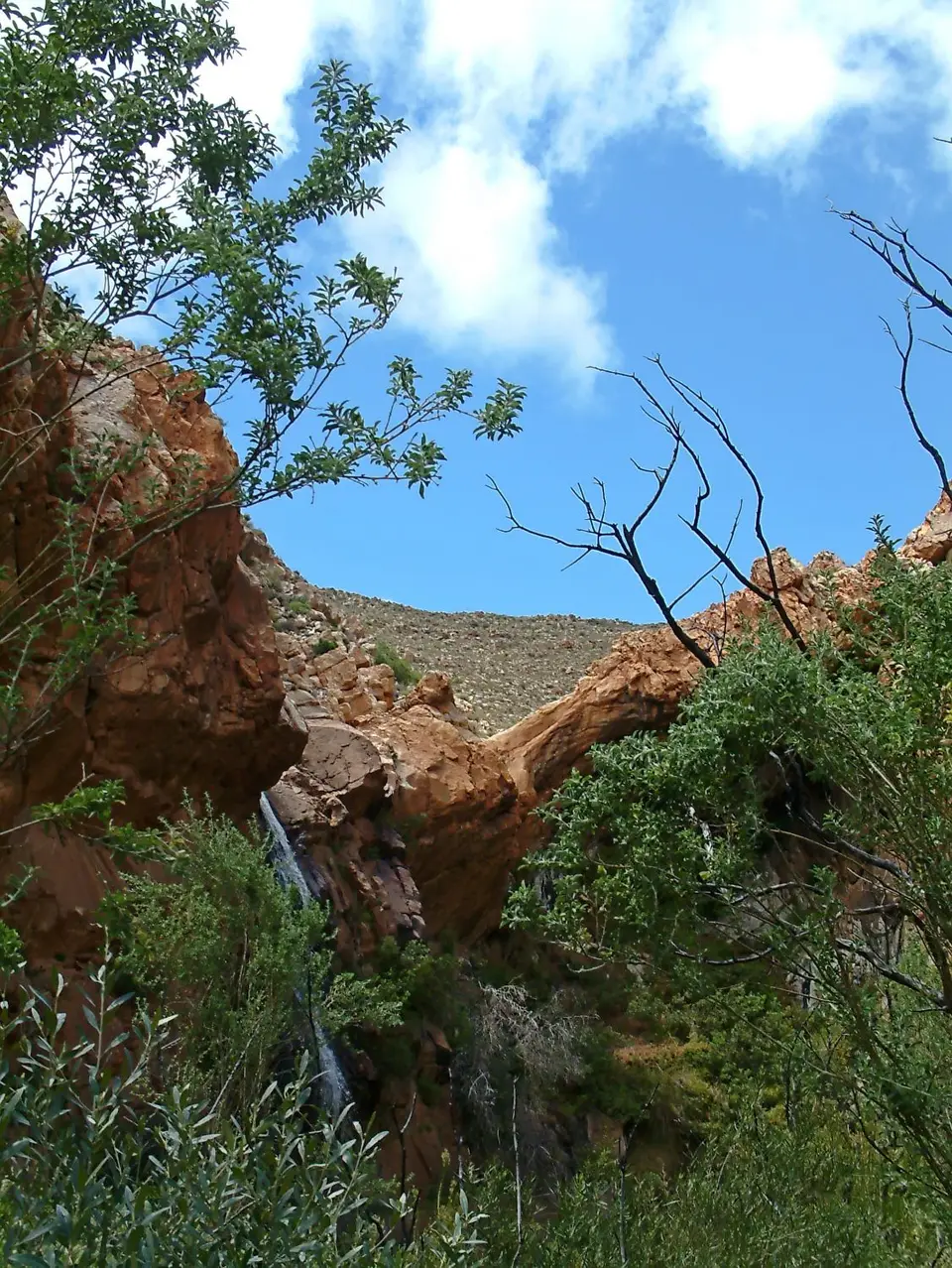 Suedafrika0203.jpg