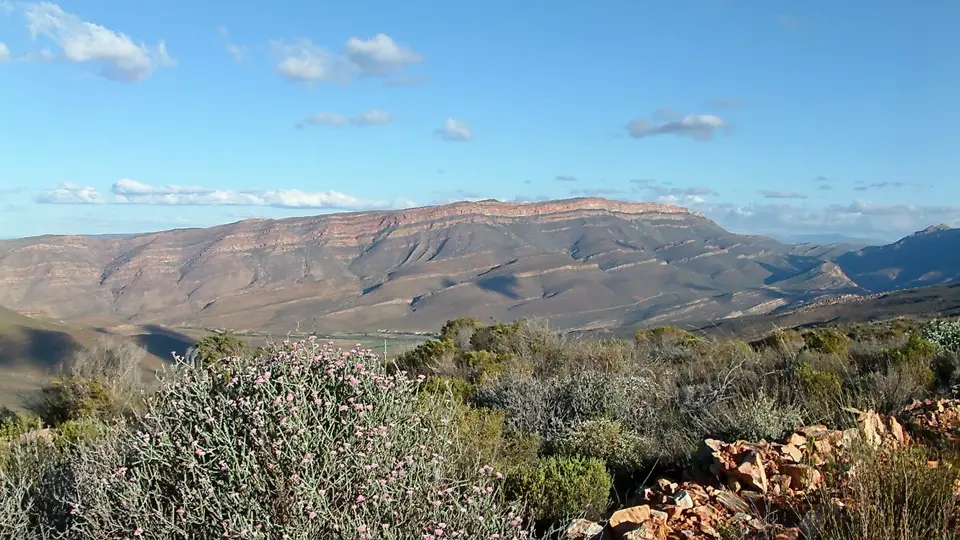 Suedafrika0218-2.jpg