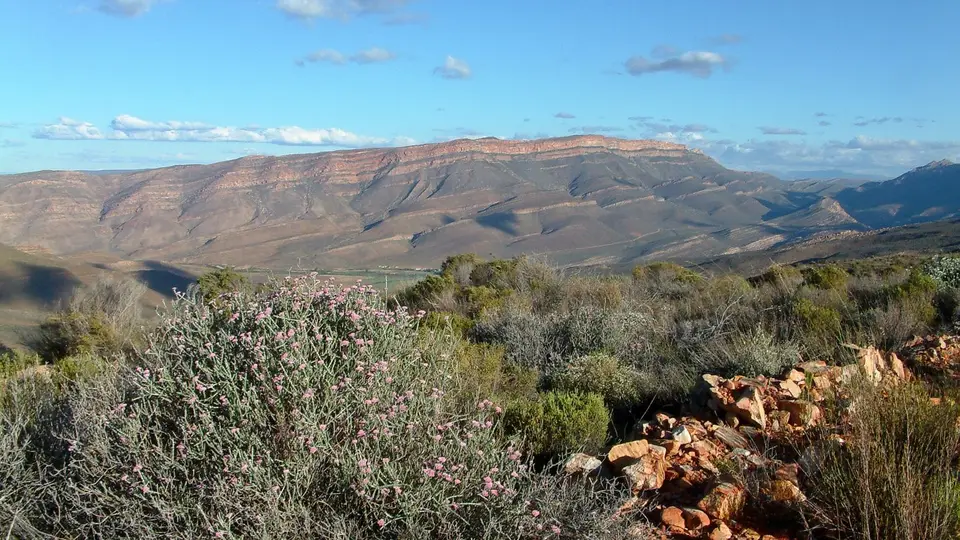 Suedafrika0218.jpg