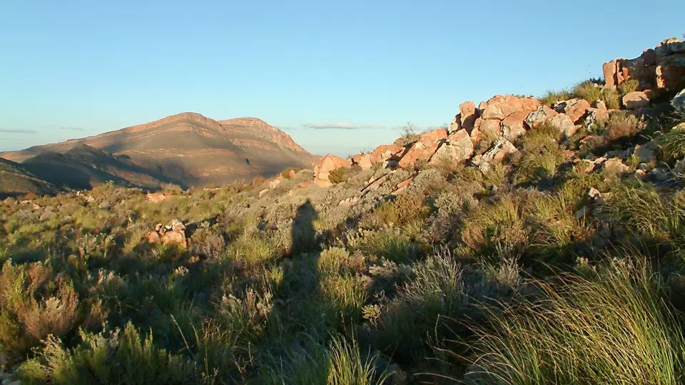 Suedafrika0231.jpg
