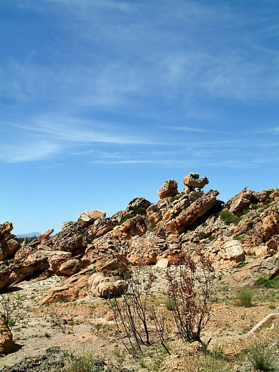 Suedafrika0251.jpg