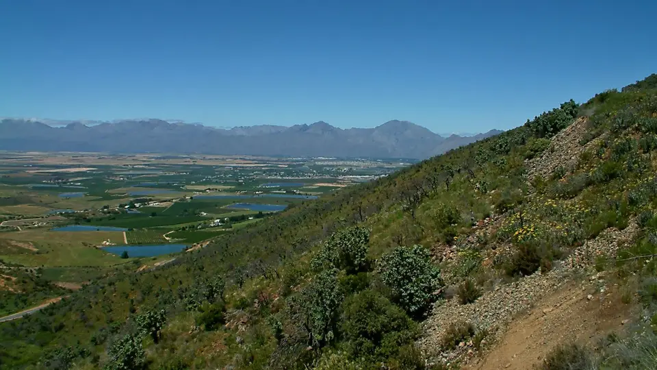 Suedafrika0256-2.jpg