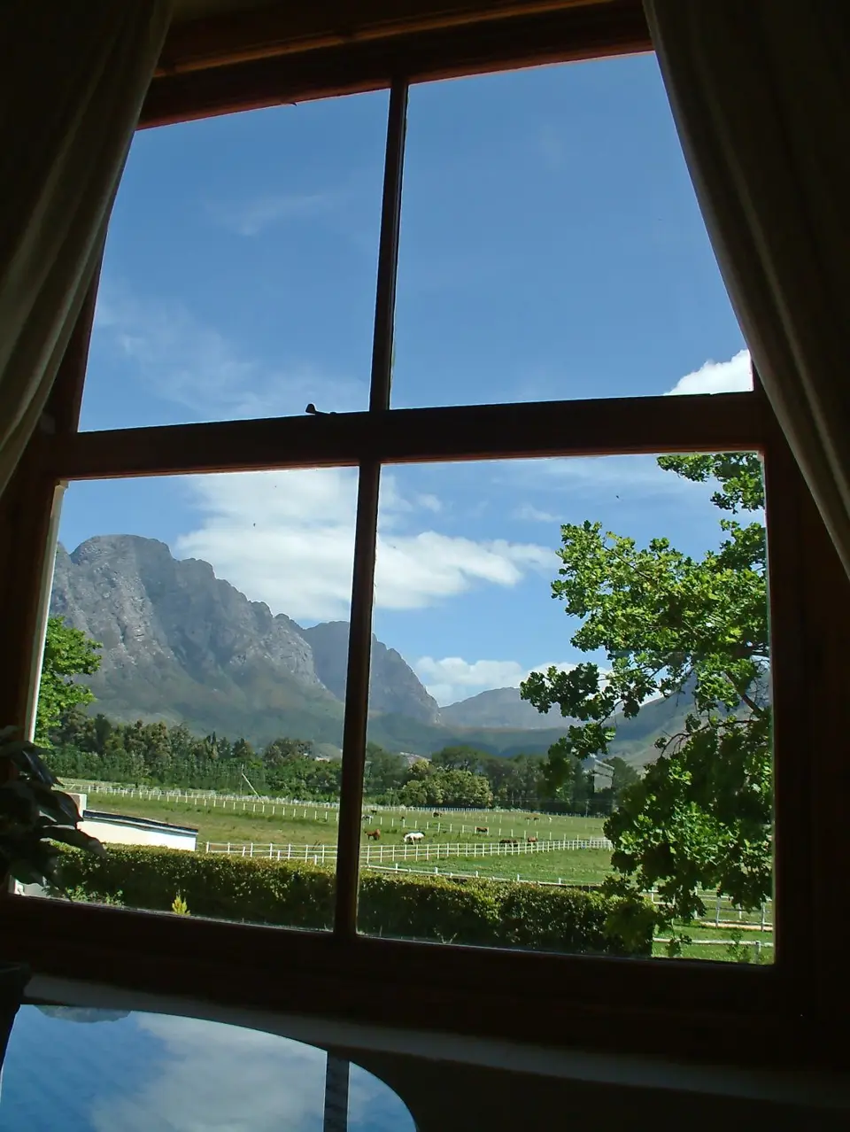 Suedafrika0263-2.jpg
