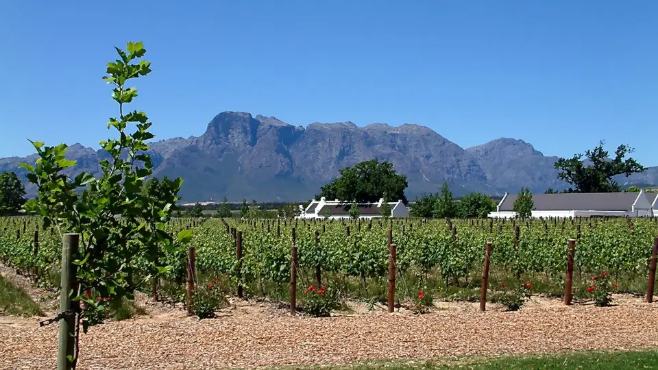 Suedafrika0281.jpg