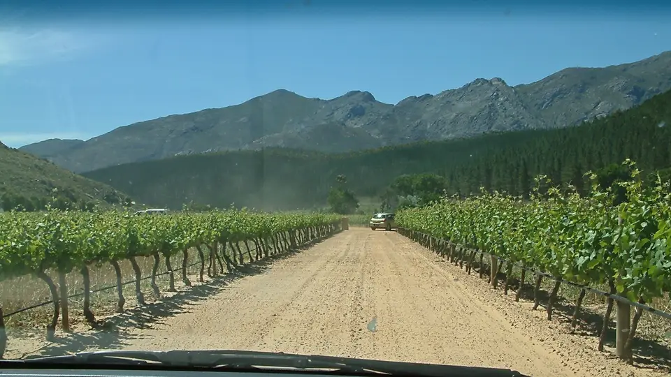 Suedafrika0289-2.jpg