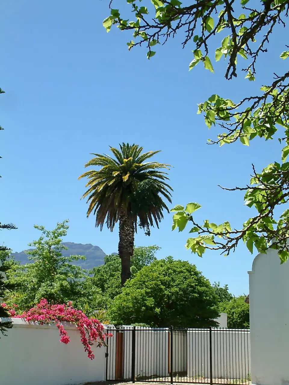 Suedafrika0301-2.jpg