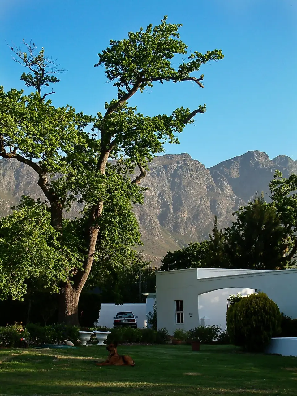 Suedafrika0306-2.jpg