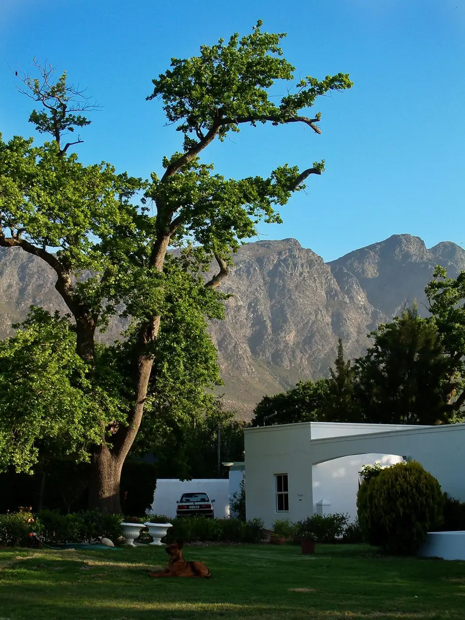 Suedafrika0306.jpg