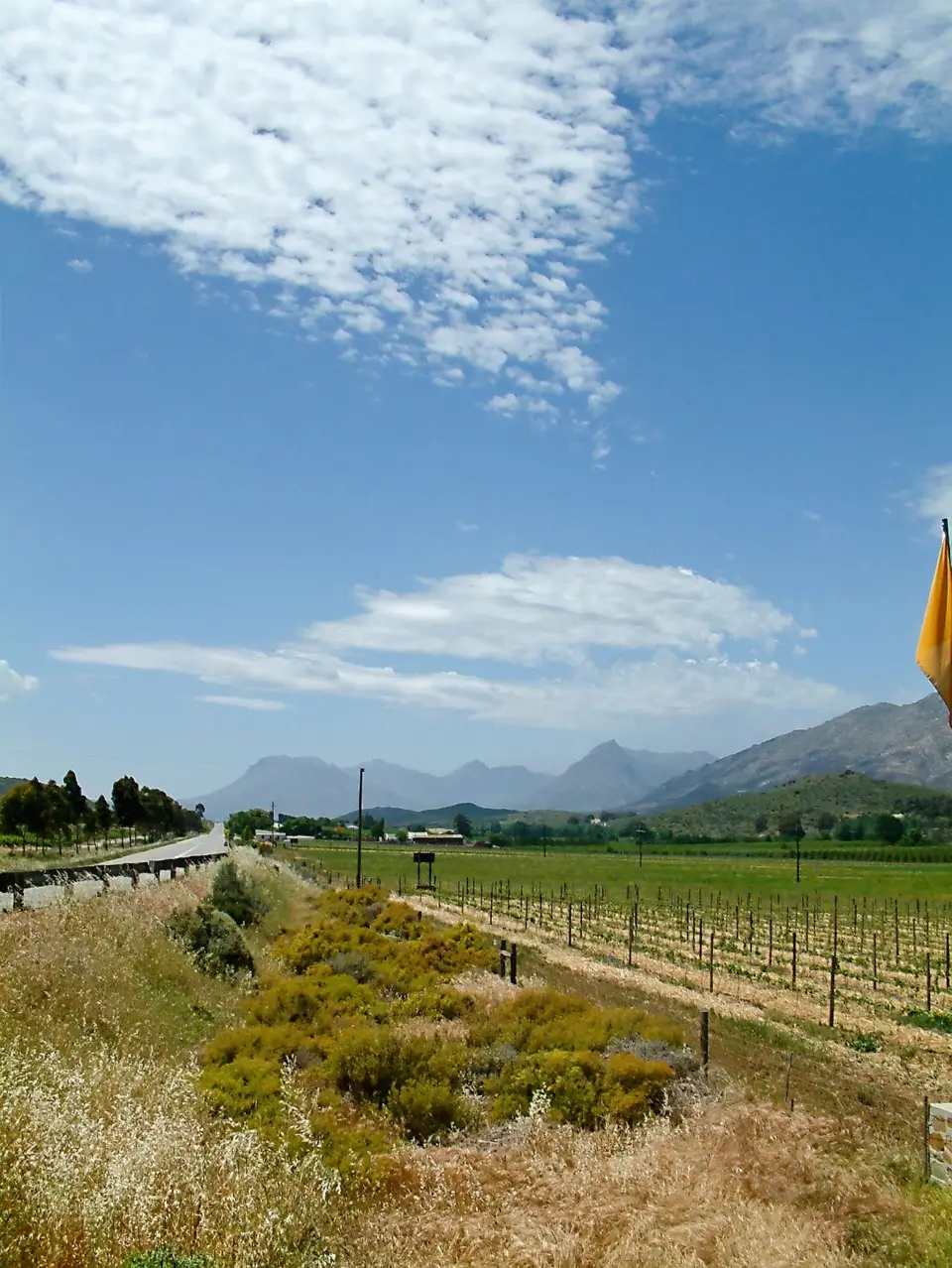 Suedafrika0328-2-3.jpg
