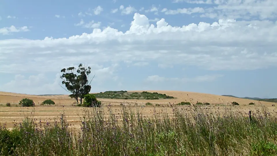 Suedafrika0340.jpg