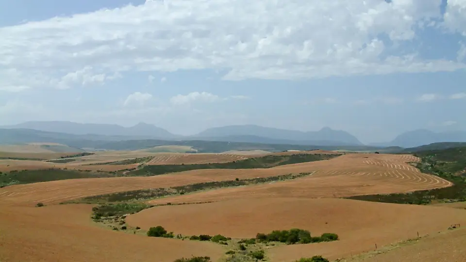 Suedafrika0341-2.jpg