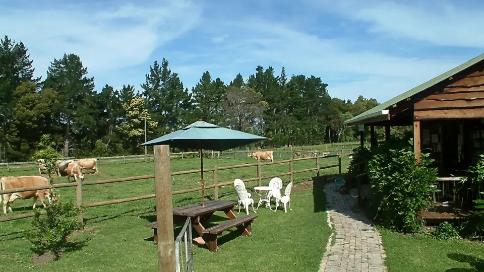Suedafrika0461-2.jpg