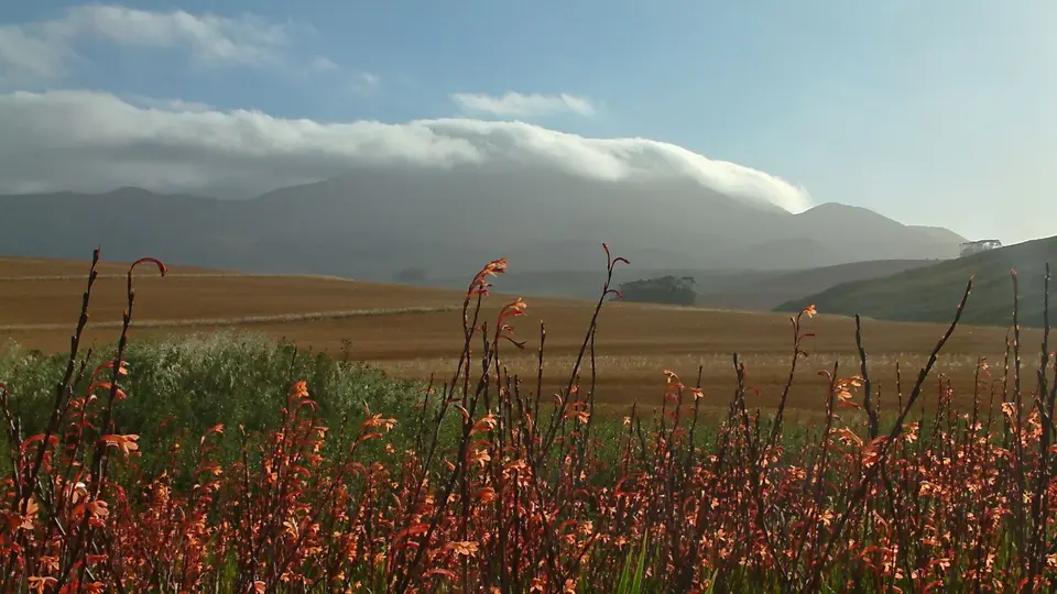 Suedafrika0574-2.jpg