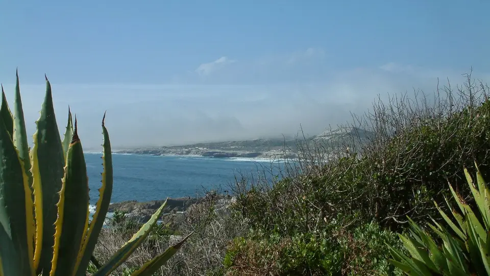Suedafrika0623.jpg