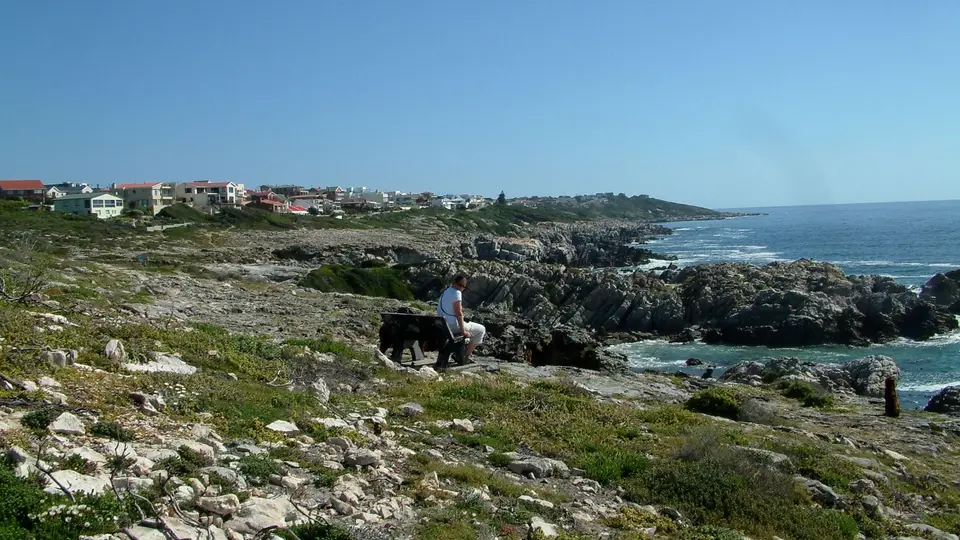 Suedafrika0728.jpg
