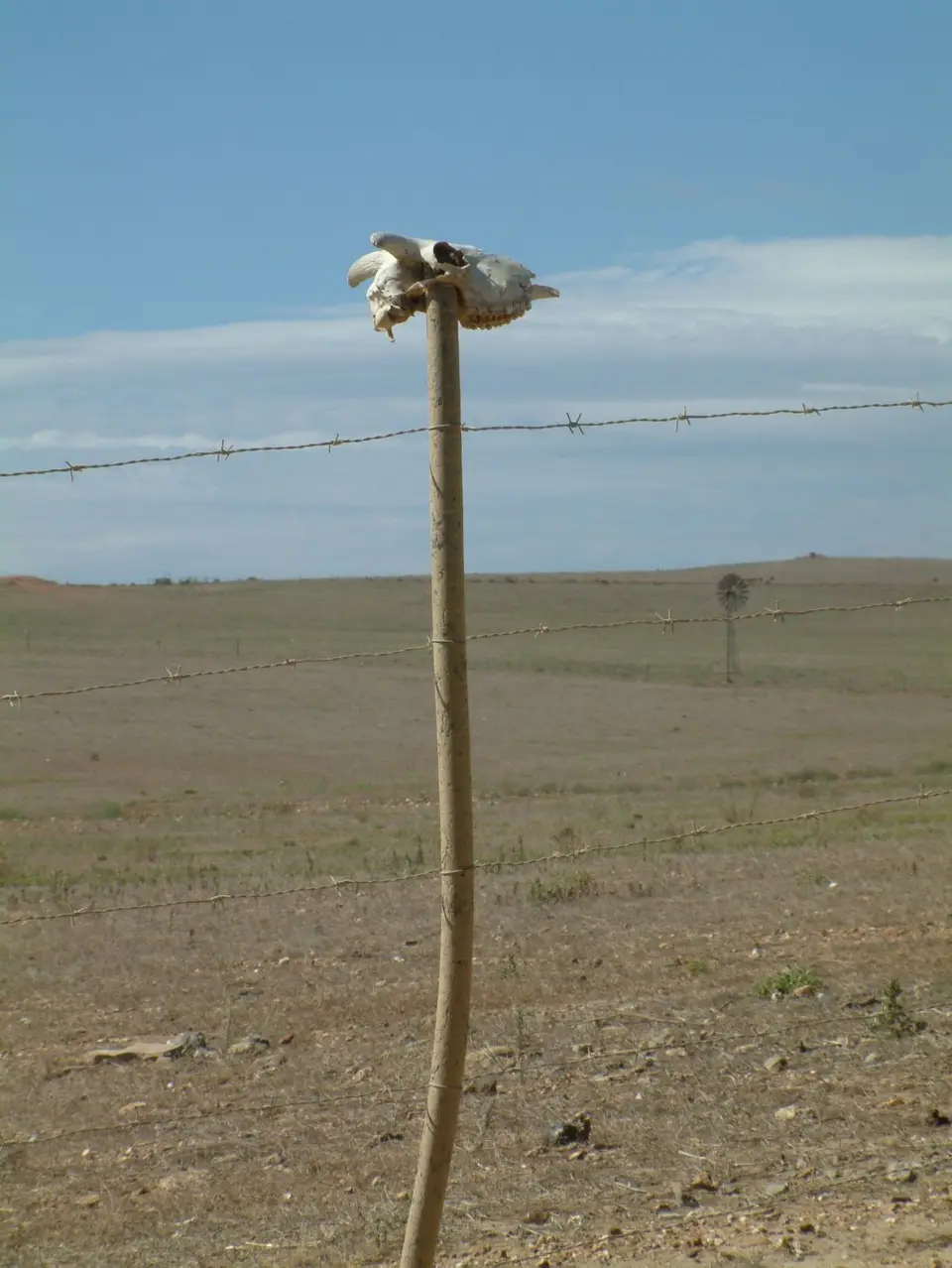 Südafrika056.jpg