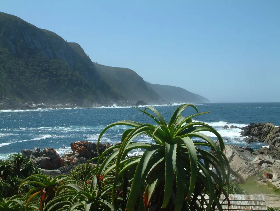 Südafrika311.jpg