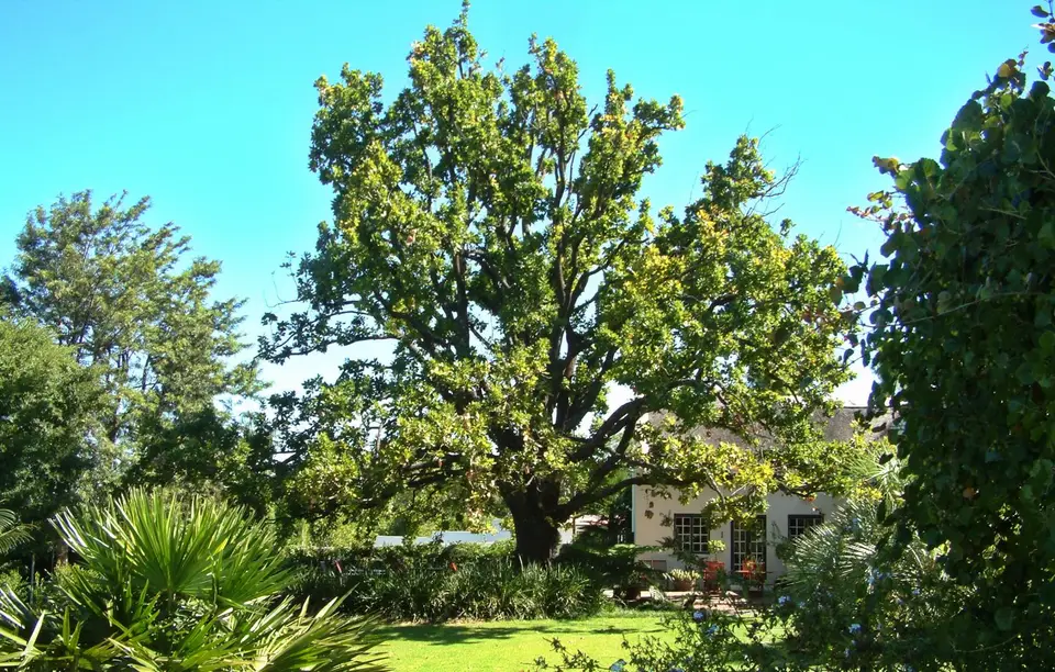 Südafrika674.jpg