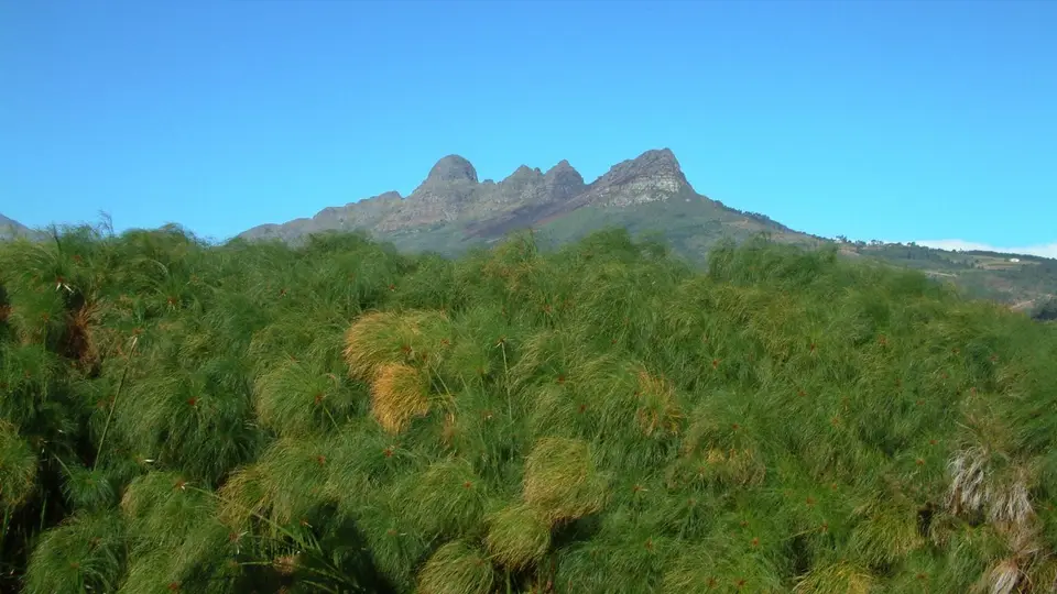Südafrika770.jpg