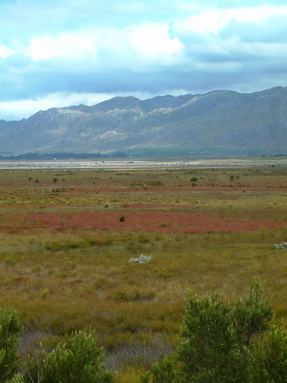 Südafrika793.jpg