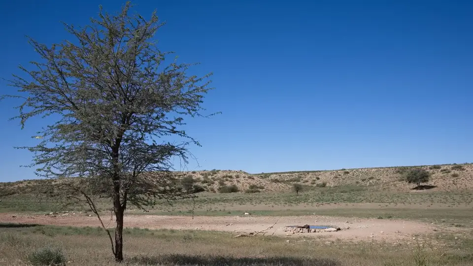 _6II9782.jpg